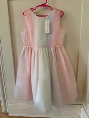 Janie and Jack Special Occasion| Birthday Dress